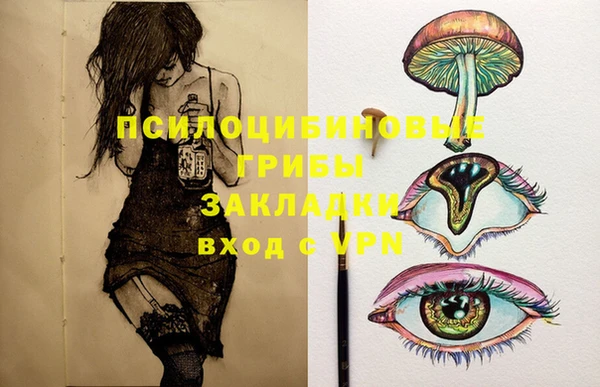 синтетический гашиш Алексин