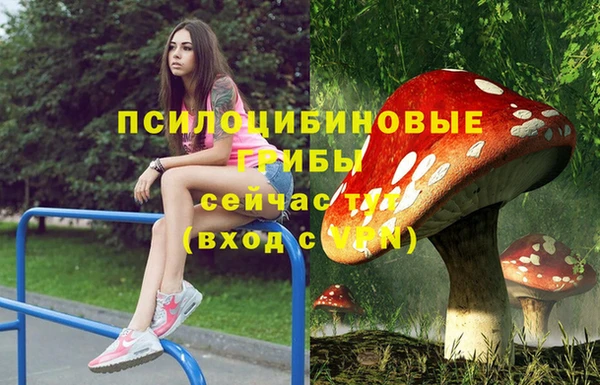 амф Алексеевка