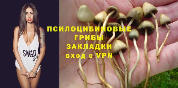 мяу мяу мука Алзамай