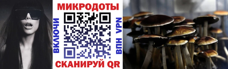 закладка  площадка Telegram  Псилоцибиновые грибы Psilocybine cubensis  Микунь  mega  